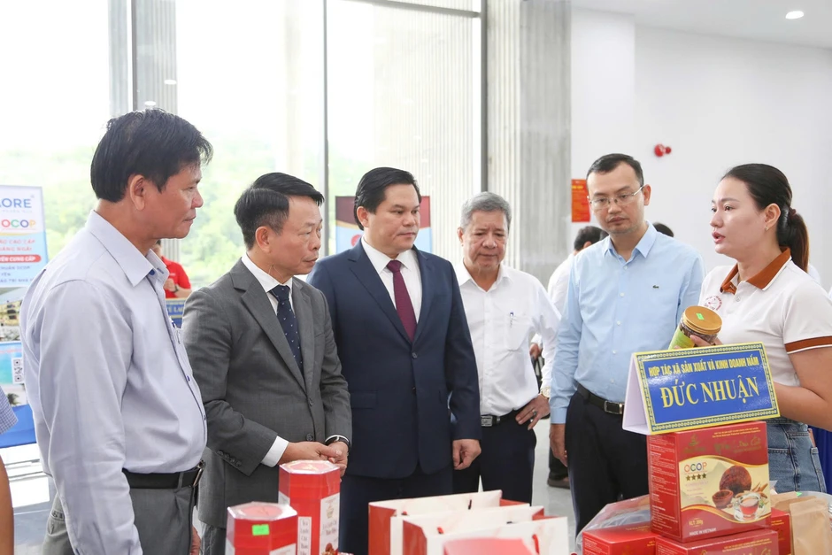 Cực tăng trưởng mới Quảng Ngãi: 'Đường đã rõ, chúng ta quyết tâm làm' Cực tăng trưởng mới Quảng Ngãi: 'Đường đã rõ, chúng ta quyết tâm làm'