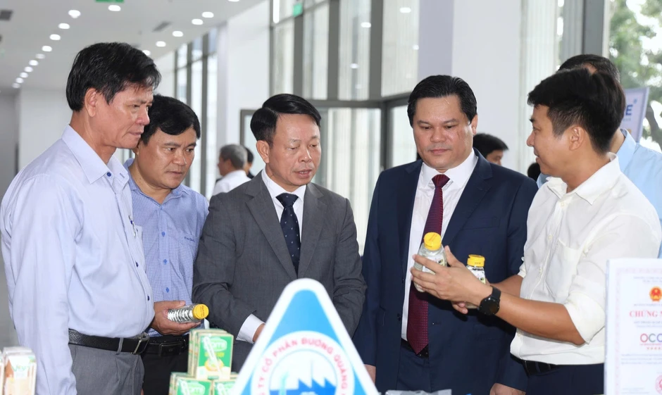 Cực tăng trưởng mới Quảng Ngãi: 'Đường đã rõ, chúng ta quyết tâm làm' Cực tăng trưởng mới Quảng Ngãi: 'Đường đã rõ, chúng ta quyết tâm làm'