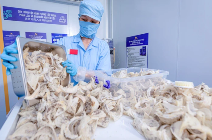 Cục Xuất nhập khẩu lưu ý thay đổi quan trọng với hàng thực phẩm vào Trung Quốc từ 1-6