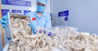 Cục Xuất nhập khẩu lưu ý thay đổi quan trọng với hàng thực phẩm vào Trung Quốc từ 1-6