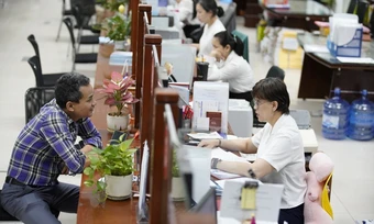Đà Nẵng hỗ trợ doanh nghiệp nhỏ và vừa tới 200 triệu đồng mỗi năm - Báo TinVina