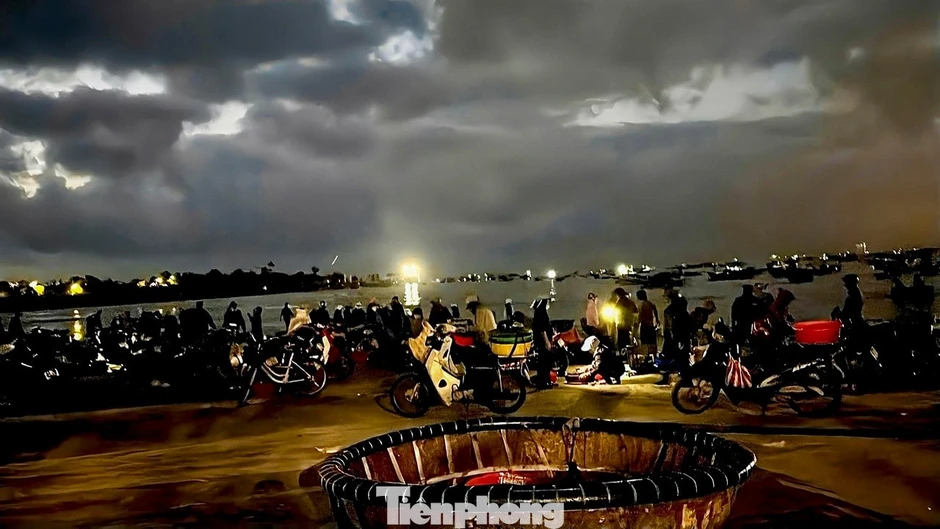 Đà Nẵng: Ruốc biển được mùa mất giá vụ Tết Đà Nẵng: Ruốc biển được mùa mất giá vụ Tết