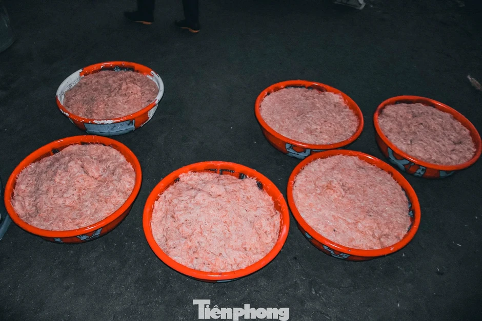 Đà Nẵng: Ruốc biển được mùa mất giá vụ Tết Đà Nẵng: Ruốc biển được mùa mất giá vụ Tết