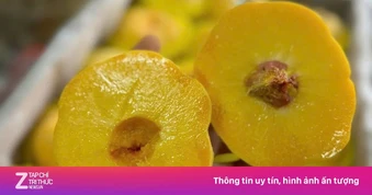 Đào donut Trung Quốc giá 200.000 đồng/kg về Việt Nam vẫn 'cháy hàng'