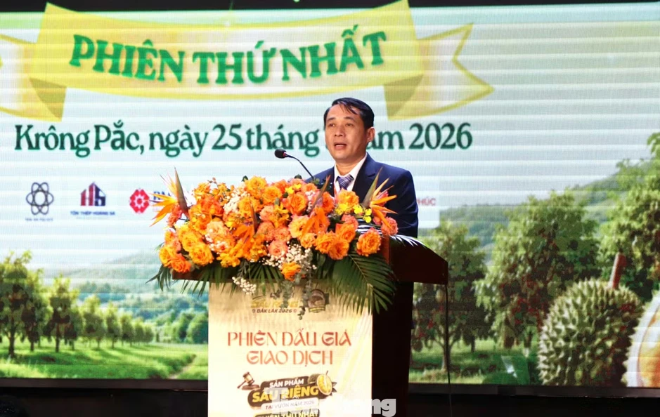 Đấu giá sầu riêng tại vườn: Bất ngờ về loại A