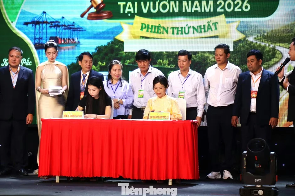 Đấu giá sầu riêng tại vườn: Bất ngờ về loại A