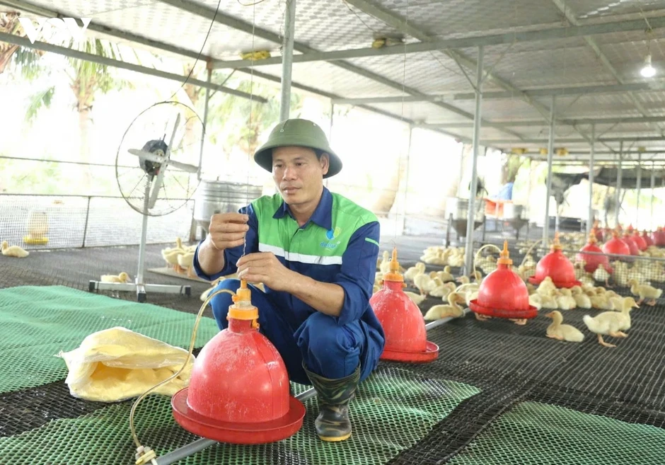 Đẩy mạnh chuyển đổi số, nông dân Hải Phòng đưa nông sản vươn tầm quốc tế Đẩy mạnh chuyển đổi số, nông dân Hải Phòng đưa nông sản vươn tầm quốc tế