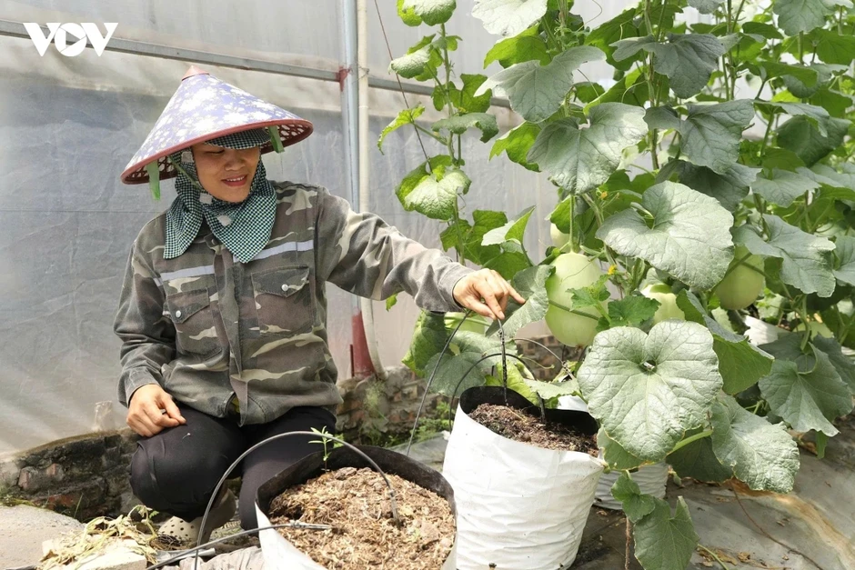 Đẩy mạnh chuyển đổi số, nông dân Hải Phòng đưa nông sản vươn tầm quốc tế Đẩy mạnh chuyển đổi số, nông dân Hải Phòng đưa nông sản vươn tầm quốc tế