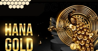 Diễn biến mới nhất liên quan sự cố trên ONUS và Hana Gold