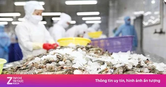 Đổ xô xuất khẩu lao động, doanh nghiệp Việt 'đỏ mắt' tìm người