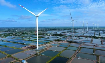Doanh nghiệp có thể tự đánh giá ESG để vay vốn xanh - Báo TinVina