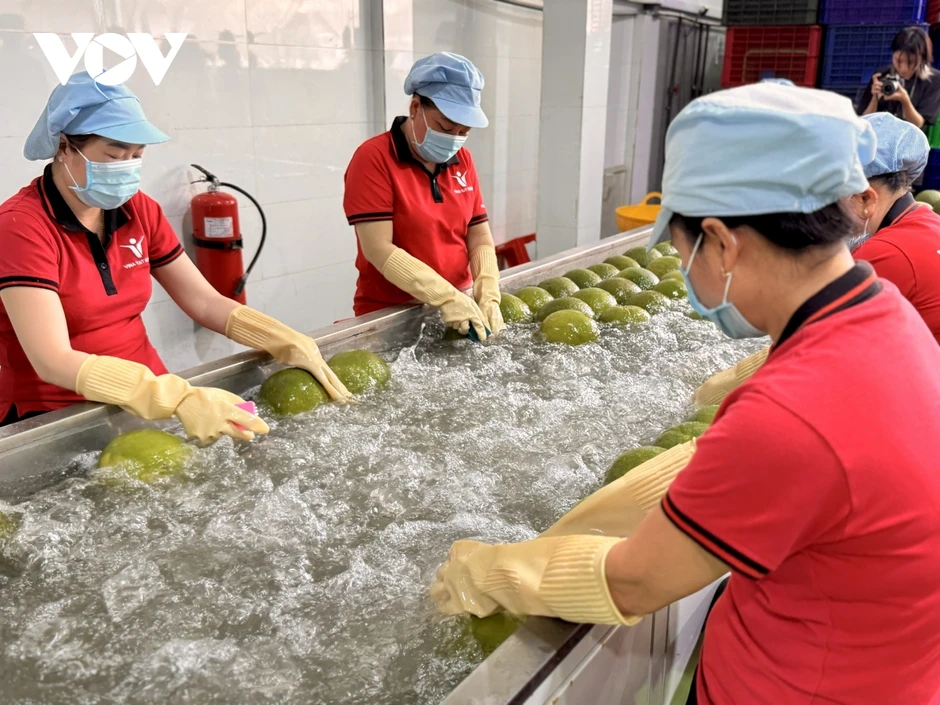 Doanh nghiệp khởi nghiệp xanh cùng ra biển lớn Doanh nghiệp khởi nghiệp xanh cùng ra biển lớn