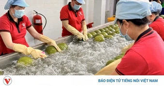 Doanh nghiệp khởi nghiệp xanh cùng ra biển lớn