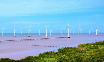 Dự án điện gió ngoài khơi, hydrogen xanh được bán tới 90% tín chỉ carbon - Báo TinVina