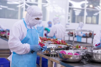 FDI chiếm 80% xuất khẩu, doanh nghiệp Việt vẫn loay hoay ở khâu giá trị thấp
