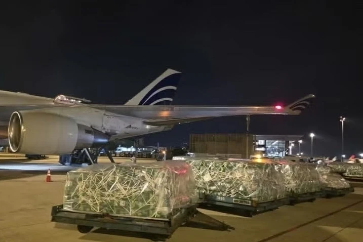Gần 100 tấn rau quả Việt Nam 'tìm đường' sang UAE bằng máy bay
