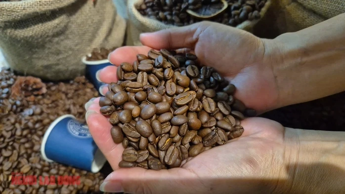 Giá cà phê hôm nay 12-3: Bốc hơi 3 con số bất chấp Brazil xuất khẩu giảm gần 23% Giá cà phê hôm nay 12-3: Bốc hơi 3 con số bất chấp Brazil xuất khẩu giảm gần 23%