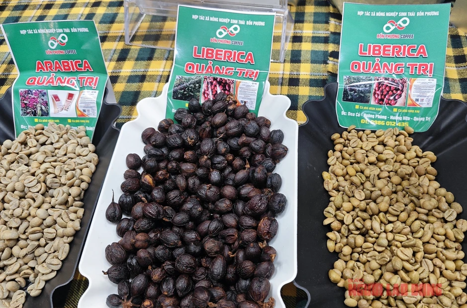 Giá cà phê hôm nay 12-4: Robusta thủng đáy, tương lai thế nào? Giá cà phê hôm nay 12-4: Robusta thủng đáy, tương lai thế nào?