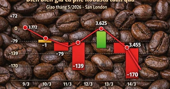 Giá cà phê hôm nay 14-3: Rớt mạnh khi người Mỹ thay đổi thói quen