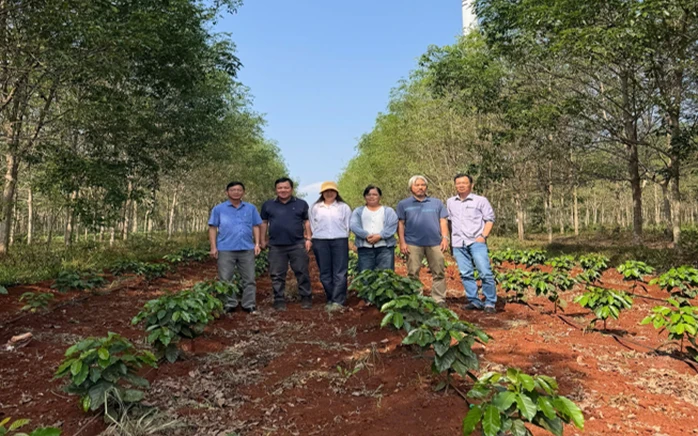 Giá cà phê hôm nay 17-3: Robusta hồi phục nhẹ, Arabica bật tăng mạnh Giá cà phê hôm nay 17-3: Robusta hồi phục nhẹ, Arabica bật tăng mạnh
