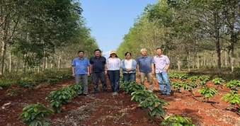 Giá cà phê hôm nay 17-3: Robusta hồi phục nhẹ, Arabica bật tăng mạnh