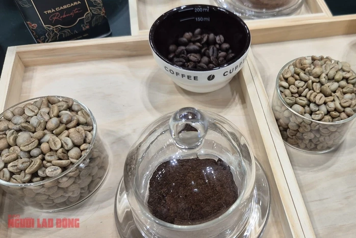 Giá cà phê hôm nay 17-6: Arabica bùng nổ, Robusta nối dài chuỗi tăng Giá cà phê hôm nay 17-6: Arabica bùng nổ, Robusta nối dài chuỗi tăng
