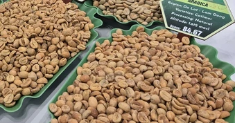 Giá cà phê hôm nay 2-6: Arabica giảm 3 con số