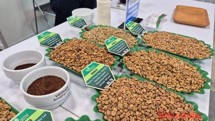 Giá cà phê hôm nay 20-3: Robusta tăng giá 4 ngày liên tiếp Giá cà phê hôm nay 20-3: Robusta tăng giá 4 ngày liên tiếp
