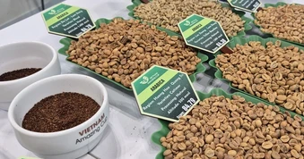 Giá cà phê hôm nay 20-3: Robusta tăng giá 4 ngày liên tiếp