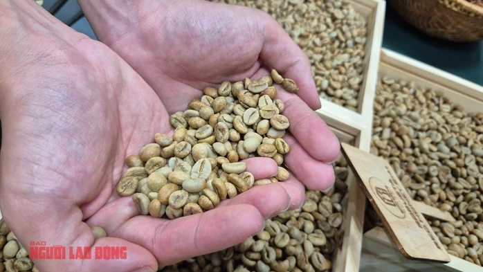 Giá cà phê hôm nay 20-4: Robusta vào vụ tại Indonesia, Brazil nối bước Giá cà phê hôm nay 20-4: Robusta vào vụ tại Indonesia, Brazil nối bước