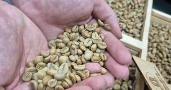 Giá cà phê hôm nay 20-4: Robusta vào vụ tại Indonesia, Brazil nối bước