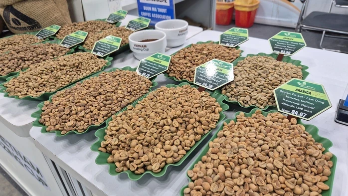 Giá cà phê hôm nay 26-3: Xuất hiện loại cà phê hơn 8 triệu đồng/kg Giá cà phê hôm nay 26-3: Xuất hiện loại cà phê hơn 8 triệu đồng/kg