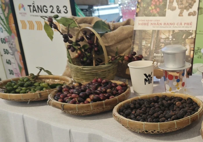Giá cà phê hôm nay 26-6: Robusta tăng 3 phiên liền, cà phê Việt mở rộng thị phần tại Mỹ Giá cà phê hôm nay 26-6: Robusta tăng 3 phiên liền, cà phê Việt mở rộng thị phần tại Mỹ