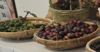 Giá cà phê hôm nay 26-6: Robusta tăng 3 phiên liền, cà phê Việt mở rộng thị phần tại Mỹ