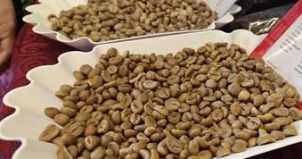 Giá cà phê hôm nay, 27-6: Robusta giao ngay vẫn "nóng"