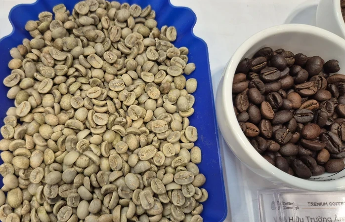 Giá cà phê hôm nay 28-5: Arabica giảm mạnh, Colombia trúng mùa Giá cà phê hôm nay 28-5: Arabica giảm mạnh, Colombia trúng mùa