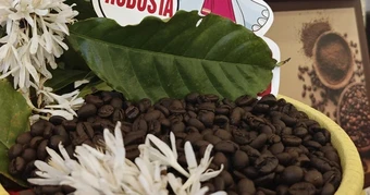 Giá cà phê hôm nay 3 - 3: Robusta bùng nổ giữa xung đột Trung Đông