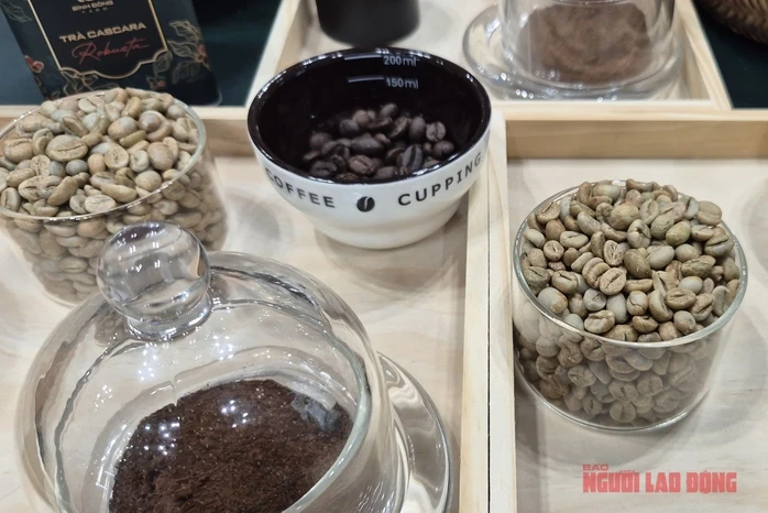 Giá cà phê hôm nay 4-5: Liệu Robusta có về lại mốc 4.000 USD/tấn? Giá cà phê hôm nay 4-5: Liệu Robusta có về lại mốc 4.000 USD/tấn?
