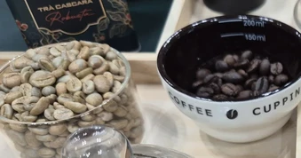 Giá cà phê hôm nay 4-5: Liệu Robusta có về lại mốc 4.000 USD/tấn?