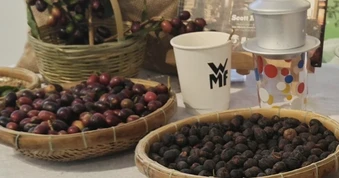Giá cà phê hôm nay 7-4: Arabica tăng giá, 20% vùng trồng có nguy cơ không phù hợp