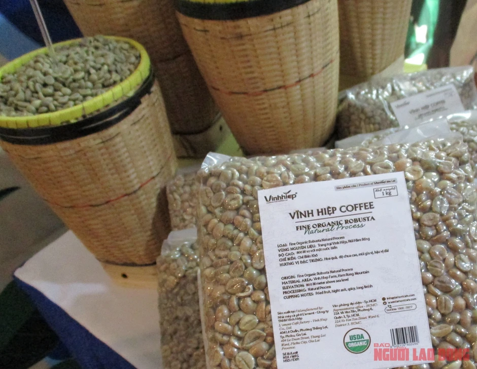 Giá cà phê hôm nay 7-5: Robusta tăng tiếp; “vua xuất khẩu cà phê” bất ngờ rớt hạng Giá cà phê hôm nay 7-5: Robusta tăng tiếp; “vua xuất khẩu cà phê” bất ngờ rớt hạng