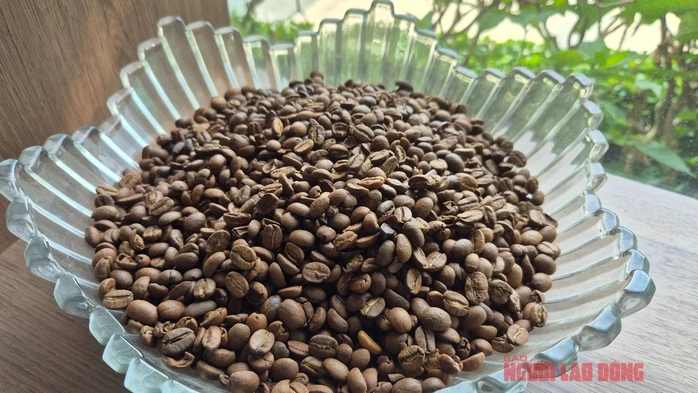Giá cà phê hôm nay 8-4: Cả hai sàn đỏ lửa, Robusta xuống đáy 8 tháng Giá cà phê hôm nay 8-4: Cả hai sàn đỏ lửa, Robusta xuống đáy 8 tháng