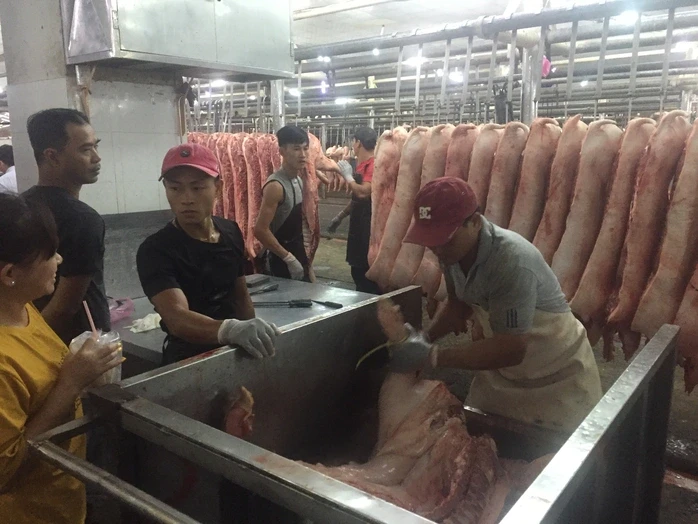 Giá heo hơi hôm nay, 16-6: Chợ đầu mối quay đầu giảm Giá heo hơi hôm nay, 16-6: Chợ đầu mối quay đầu giảm
