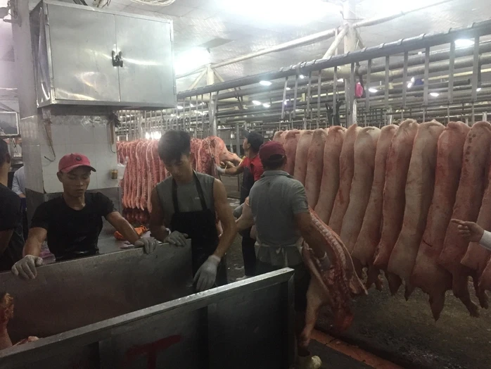 Giá heo hơi hôm nay, 30-3: Chợ đầu mối có giá mới Giá heo hơi hôm nay, 30-3: Chợ đầu mối có giá mới