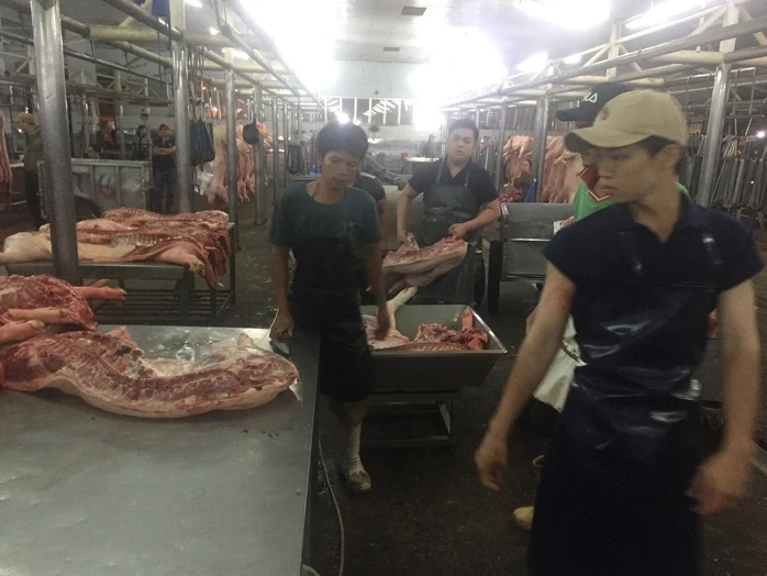 Giá heo hơi hôm nay, 5-3: Tăng mạnh ở chợ đầu mối Giá heo hơi hôm nay, 5-3: Tăng mạnh ở chợ đầu mối