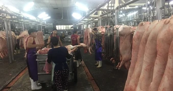 Giá heo hơi hôm nay, 7-4: Sức mua yếu, giá vẫn tăng