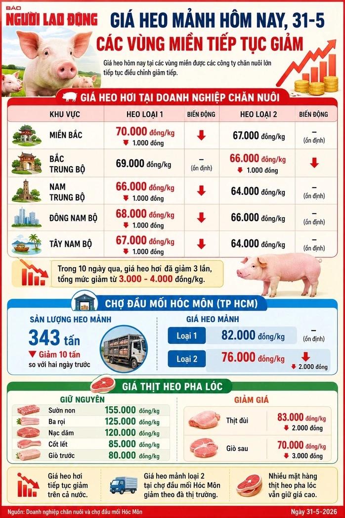 Giá heo mảnh hôm nay, 31-5: Các vùng miền tiếp tục giảm Giá heo mảnh hôm nay, 31-5: Các vùng miền tiếp tục giảm