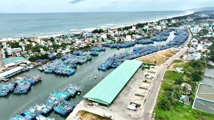Gia Lai đề xuất xây dựng trung tâm đấu giá cá ngừ đại dương đầu tiên ở Đông Nam Á