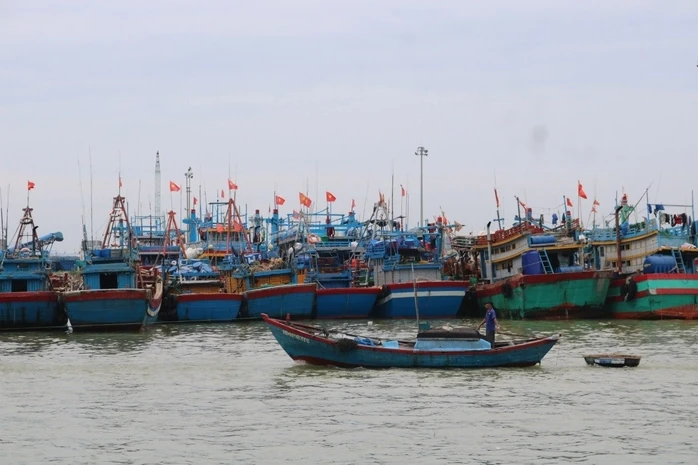 Gia Lai thuê giám sát hành trình để kiểm soát 186 tàu cá rủi ro cao Gia Lai thuê giám sát hành trình để kiểm soát 186 tàu cá rủi ro cao