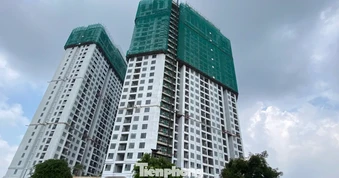 Giá nhà neo cao, doanh nghiệp 'chăm khách' thế nào?